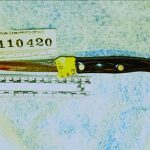 Knife Ellen Greenberg Murder Weapon