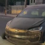 Human remains were discovered in the trunk of a Tesla after workers at a Hollywood tow yard reported a foul stench coming