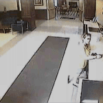 Surveillance photo of Megan Waterman at the Holiday Inn front desk