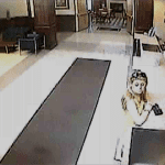 Surveillance photo of Megan Waterman at the Holiday Inn front desk