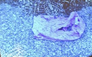 Holly Bobo: Evidence Found