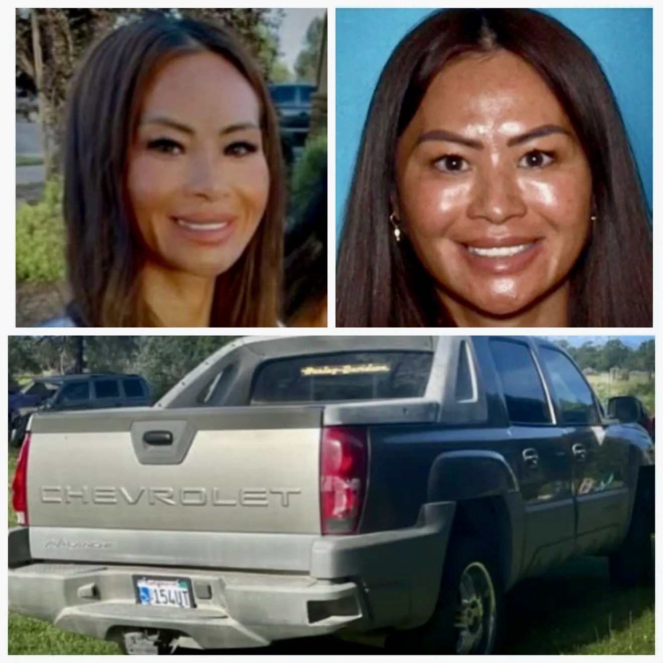 Nikki Cheng Saelee-McCain timeline