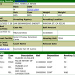 Rebecca Haro: Booking and Charging Information