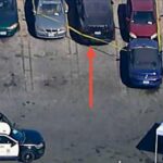 A body was discovered in the frunk of a Tesla owned by David Burke aka d4vd
