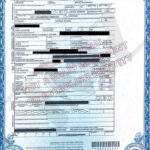 Official Vital Record Summary – Celeste Abigail Rivas Hernandez
