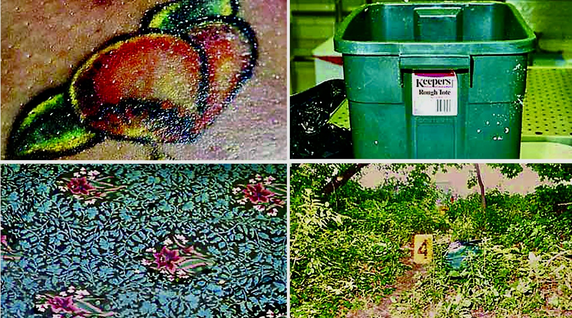 Partial remains of the woman, commonly referred to as "Peaches" based on a tattoo of the fruit on her body, was discovered stuffed inside a Rubbermaid container at Hempstead Lake State Park in Lakeview in June 1997