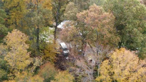Search for Missing Summer Wells