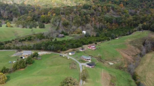 Search for Missing Summer Wells