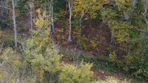 Search for Missing Summer Wells