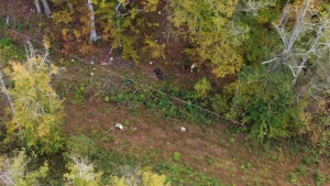 Search for Missing Summer Wells