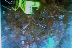 tooth being found belongs to Holly Bobo